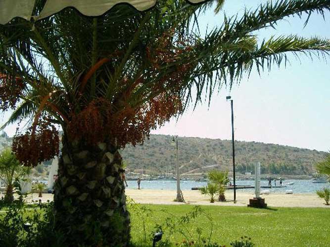 Tuemay Hotel Bitez Ngoại thất bức ảnh